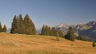 Cuntrada da palì dad Ibergeregg.