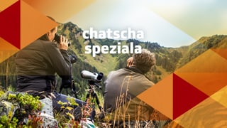 Dapli da la votaziun davart la chatscha speziala