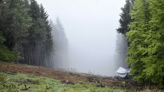 purtret da la pendiculara che giascha giun plaun. 