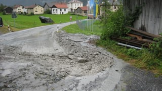 La bova davant la vischnanca da Brinzauls.