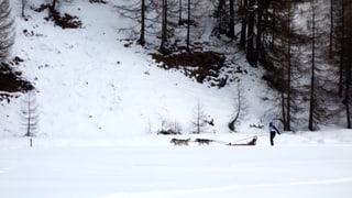 Erich Camastral da Pratval è partì en la categoria Pulka.