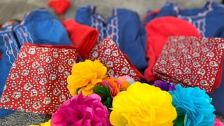 rosas da palpiri, chamischas blauas rosas da palpiri, chamischas blauas