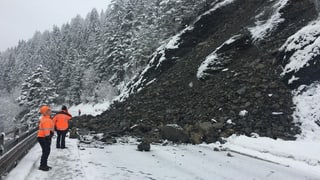 Purtret da la bova sin la via tranter Scuol ed Ardez. Purtret da la bova sin la via tranter Scuol ed Ardez.