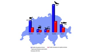 grafica da la Svizra che mussa las spezias d'animals e quantas ch'èn sin la glista cotschna grafica da la Svizra che mussa las spezias d'animals e quantas ch'èn sin la glista cotschna