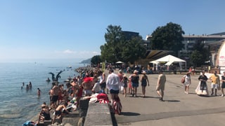 La riva dal Lac Léman è plaina e pli che plaina.