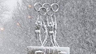 Umans tegnan ils rintgs olimpics. 