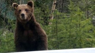 Ils Puschlavins han da s'occupar cun M13. Ils Puschlavins han da s'occupar cun M13.