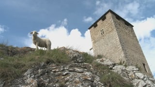 Ina nursa avant il bajetg da la butia ad Ardez.