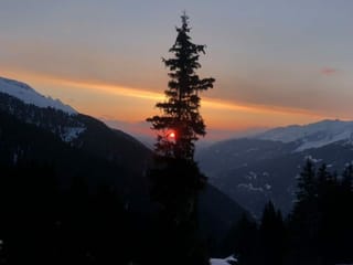 Cotschen da la saira.