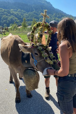 June Frau mit Kuh beim Alpabzug in Trun