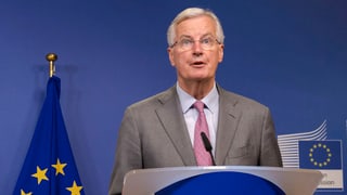 Portrait Barnier.