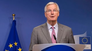 Portrait Barnier. Portrait Barnier.