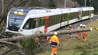 Purtret dal tren charrà en ina planta. 