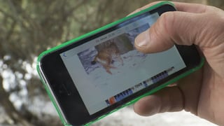 Ina fotografia che vegn guardad sin il smartphone. Ina fotografia che vegn guardad sin il smartphone.