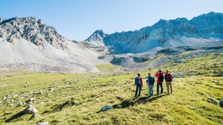 L'alp Anarosa en il Parc natiral Beverin. 