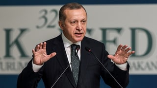Il president tirc Recep Erdogan declera che questa resoluziun na valia nagut.