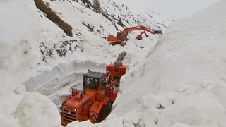 Rumida da naiv sin il Pass dal Lucmagn.