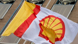 logo dal concern d'ieli Shell