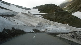 En viadi sur il pass da la Forcola di Livigno.
