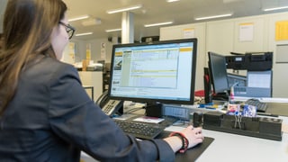 Ina giuvna davant in computer. 