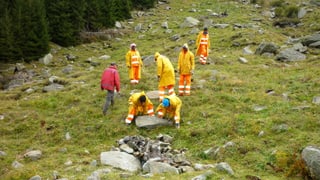 Requirents d'asil durant la lavur en Val Cristallina. Requirents d'asil durant la lavur en Val Cristallina.