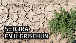 Cura che la plievgia manca ...