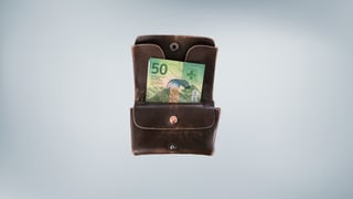 bursa cun en ina nota da 50 francs (nova)