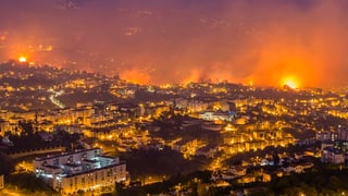 Incendi en il Portugal. 