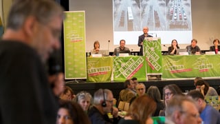 Ils Verds che han tegnì lur radunanza da delegads a La Chaux-de-Fonds.