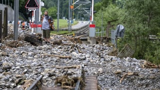 Lingia da tren cuvrida da material da bova. Lingia da tren cuvrida da material da bova.