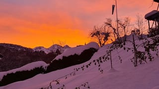 Cotschen da la saira 19-01-2021.