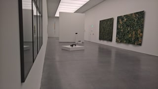L'exposiziun en il museum. 