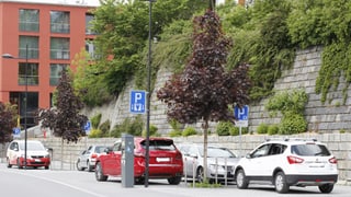 Parcadis cun uras da parcar a Scuol.