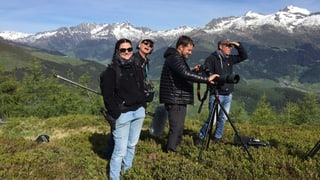 Annina Schmid, Markus Graber, Curdin Fliri e Dominik Rupf tschertgan selvaschina.
