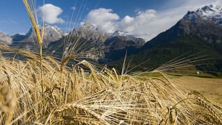 Gran Alpin è dumandà.