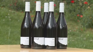 En tut hai dà 166 buttiglias dal vin cun il num «Resvegl». En tut hai dà 166 buttiglias dal vin cun il num «Resvegl».