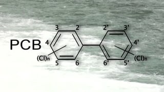 PCB – Biphenils polichlorads
