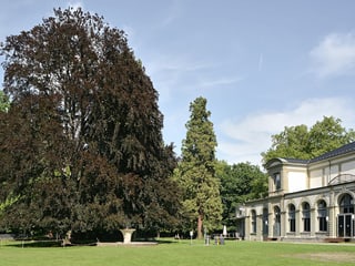 Il parc da cura a Baden.