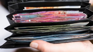 Ina bursa cun bancnotas.