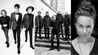 Pegasus, Züri West e Phanee de Pool dattan il concert da benifizi.