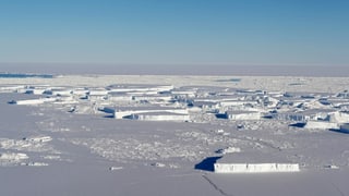 Purtret d'ina cuntrada plain glatsch en l'Antarctica. 