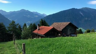 Mises cun clavau
