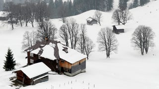 Ina chasa dasper ina stalla en il chantun Appenzell. 