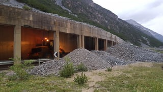 Ina da las quatter bovas a Livigno.