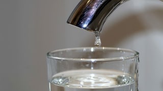 Purtret d'in tgiern d'aua e sutvart in glas cun en aua. 