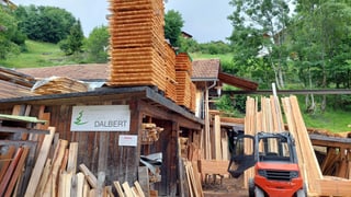 Resgia Dalbert.