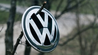 Purtret d'ina marca da VW che penda vid ina planta. 