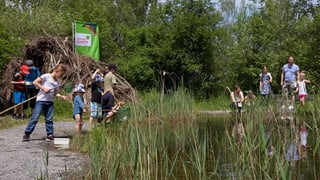 In lai a Neeracherried, Turitg nua che uffants e creschids observan la natira durant il festival da natira.
