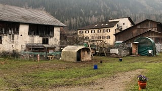 Menaschi da bio dal pur Andreas Melchior d'Andeer