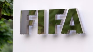 Il logo da la FIFA. Il logo da la FIFA.